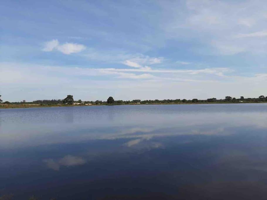 Vakantiehuis Eikzicht Gelegen Aan Het Bos Elsloo  Exterior foto
