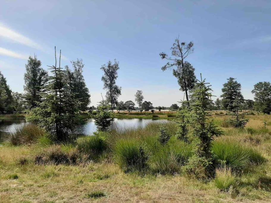 Vakantiehuis Eikzicht Gelegen Aan Het Bos Elsloo  Exterior foto