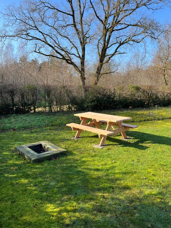 Vakantiehuis Eikzicht Gelegen Aan Het Bos Elsloo  Exterior foto